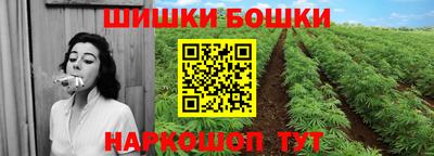 ГАЛЛЮЦИНОГЕННЫЕ ГРИБЫ Беслан