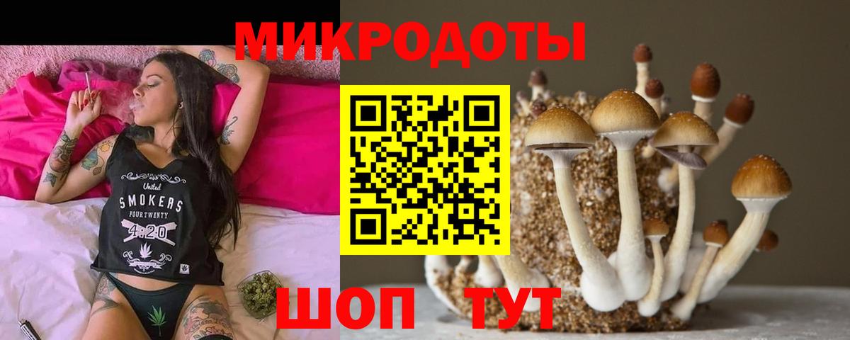 Гай  Псилоцибиновые грибы Psilocybine cubensis  магазин продажи   Вход с VPN 