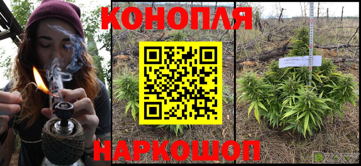 Конопля ГИДРОПОН  Вход с VPN  Конопля ГИДРОПОН  Гай  Каннабис марихуана  Канабис White Widow 